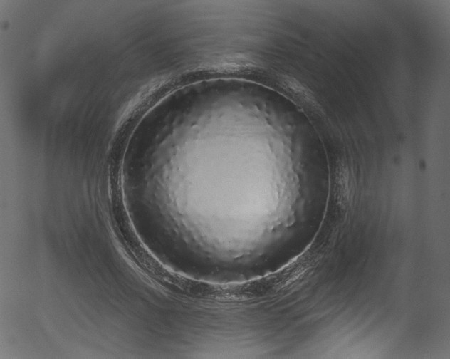 X0000056350734200508291321