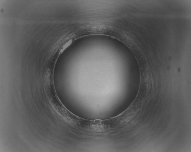 X0000056350744200508291322