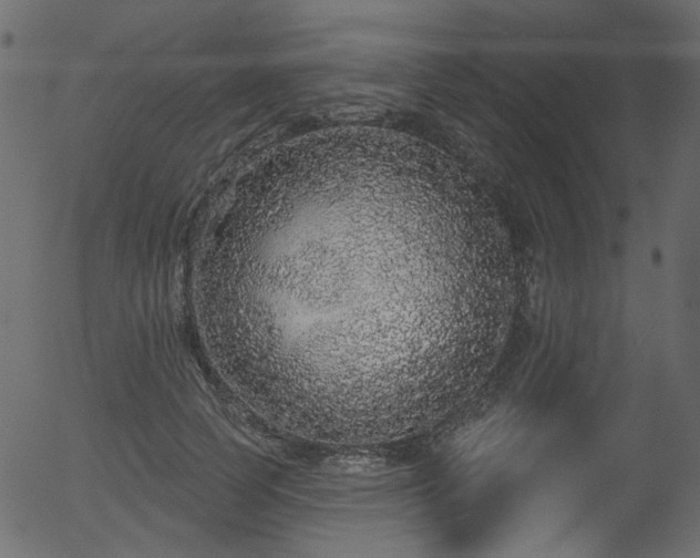 X0000056350745200508291322