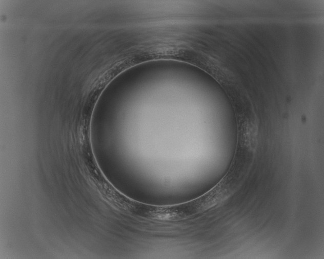 X0000056350746200508291322