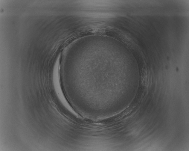 X0000056350748200508291322
