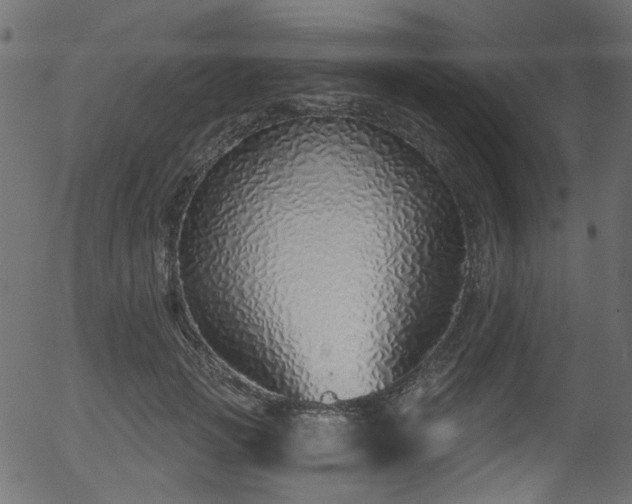 X0000056350749200508291322