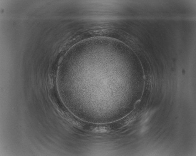 X0000056350751200508291322