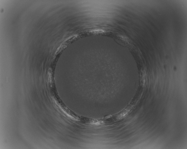X0000056350760200508291322