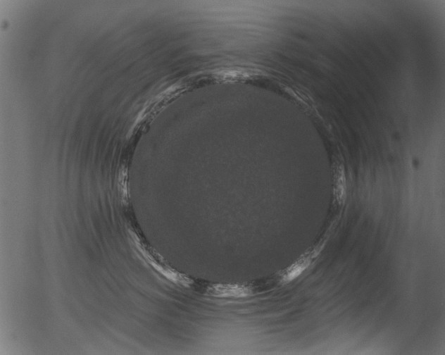X0000056350766200508291322