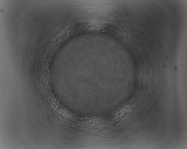 X0000056350769200508291321