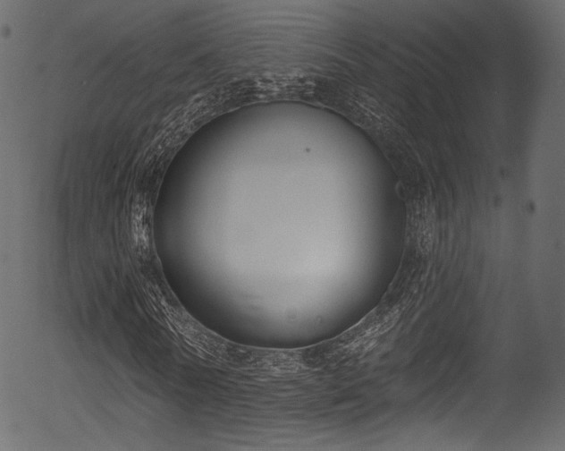 X0000056350770200508291321