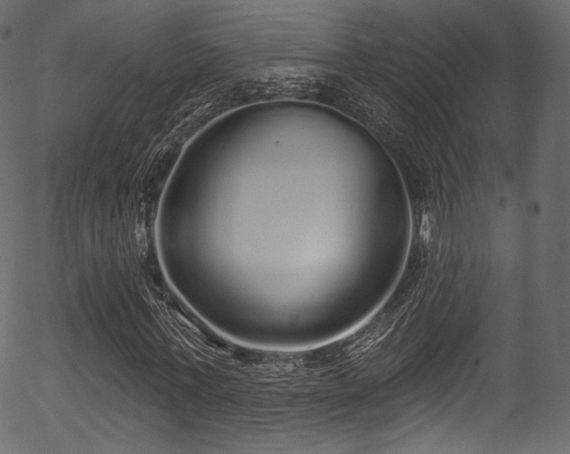 X0000056350771200508291321