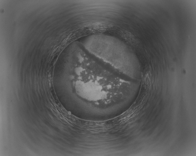 X0000056350772200508291321