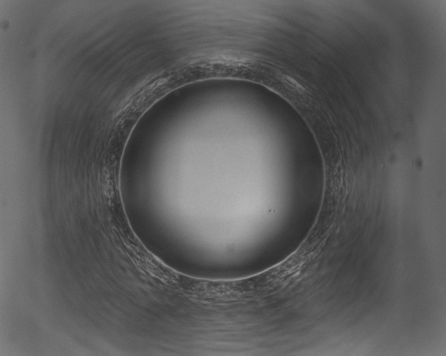 X0000056350774200508291321