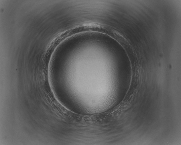 X0000056350776200508291321