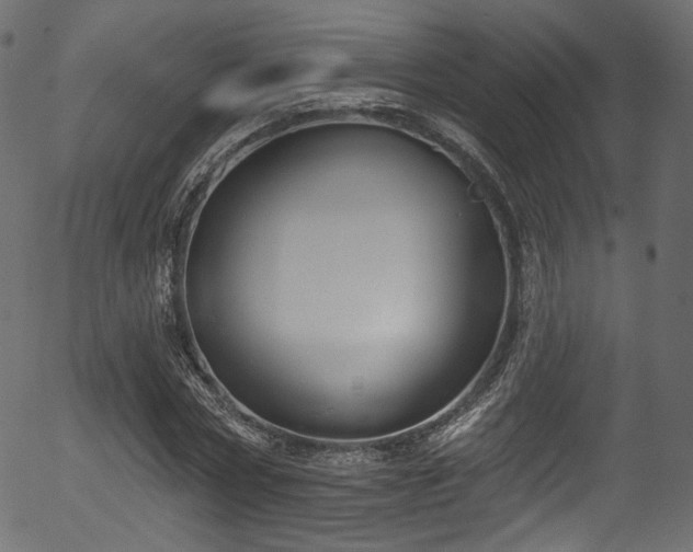 X0000056350778200508291321
