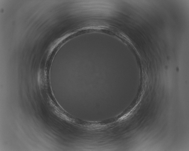 X0000056350779200508291321