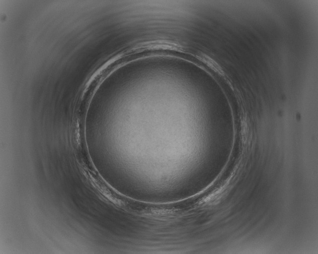 X0000056350782200508291321