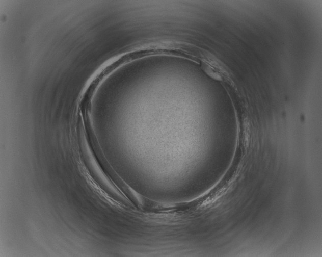 X0000056350784200508291321