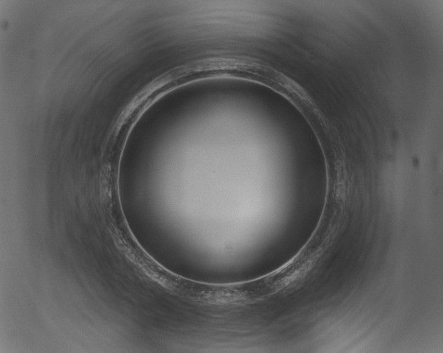 X0000056350786200508291321