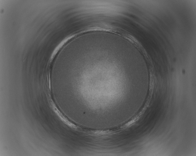 X0000056350796200508291321