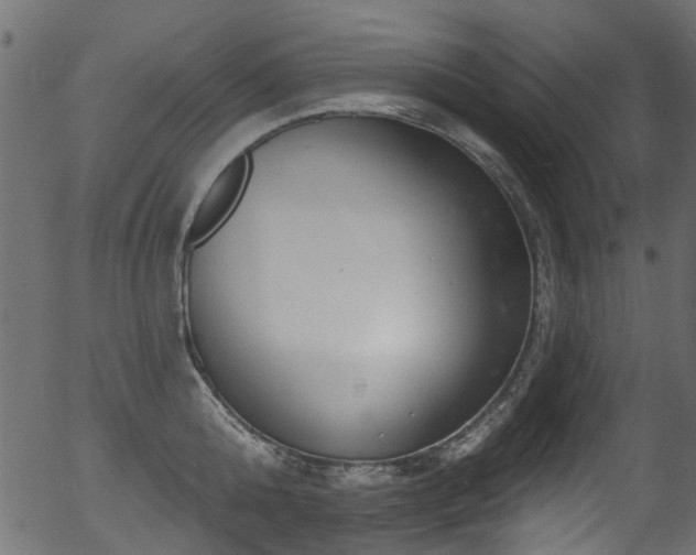 X0000056350808200508291320