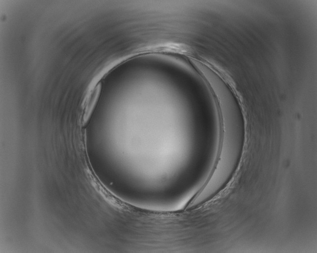 X0000056350816200508291320