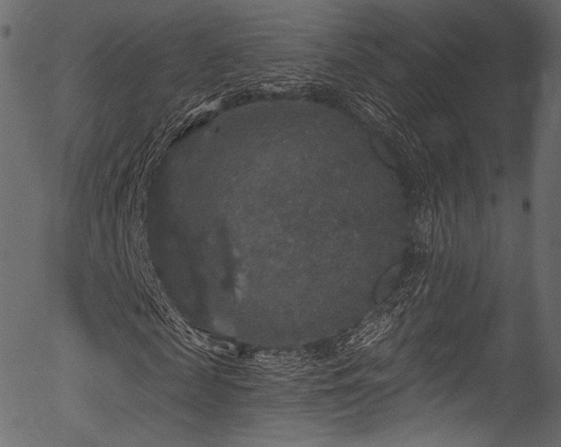 X0000056350817200508291319