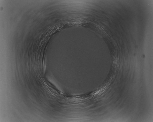 X0000056350818200508291319