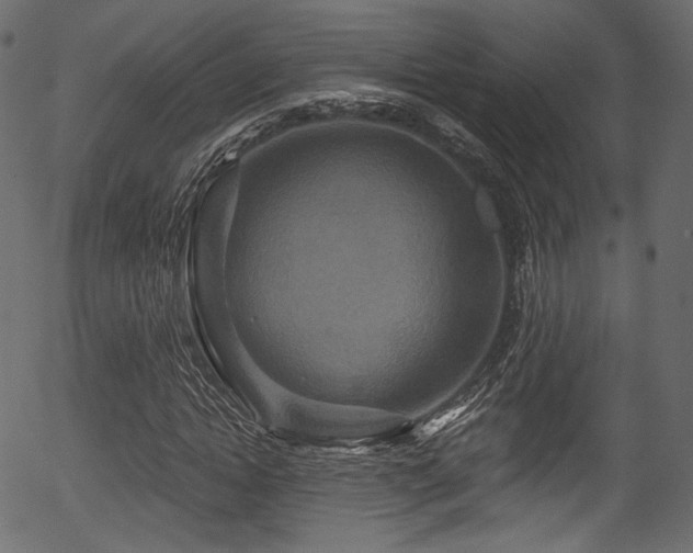 X0000056350822200508291319