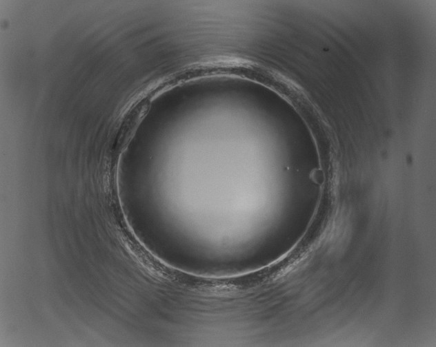 X0000056350833200508291320