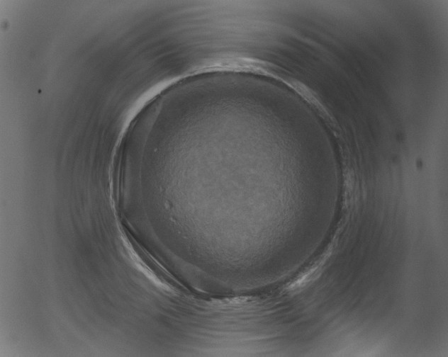 X0000056350846200508291320