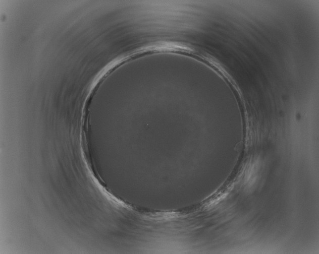 X0000056350853200508291320