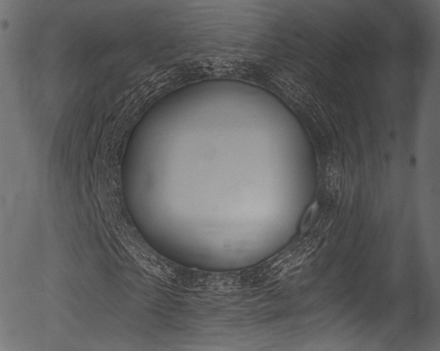 X0000056350865200508291319