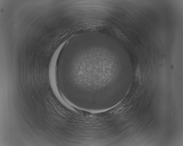 X0000056350868200508291319