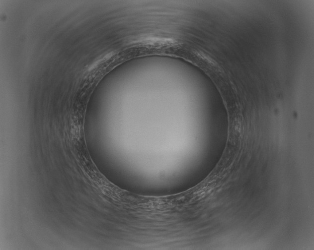 X0000056350869200508291319