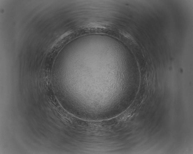 X0000056350870200508291319