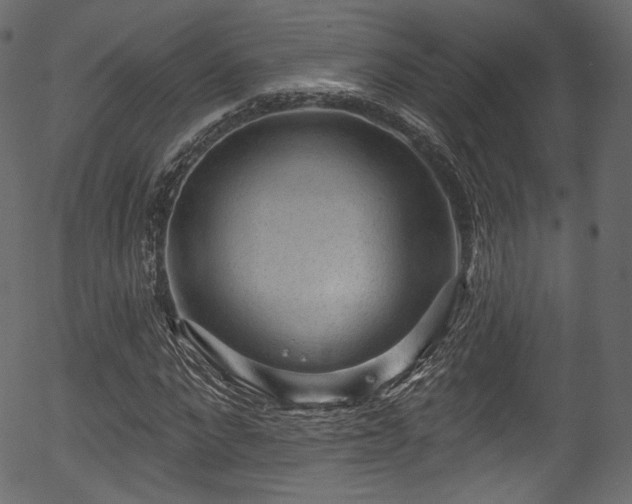 X0000056350872200508291319