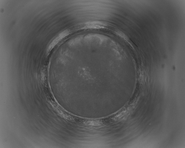 X0000056350874200508291319