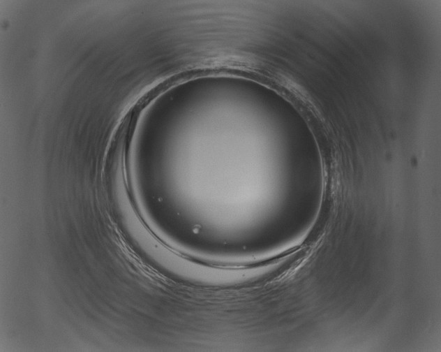 X0000056350876200508291319