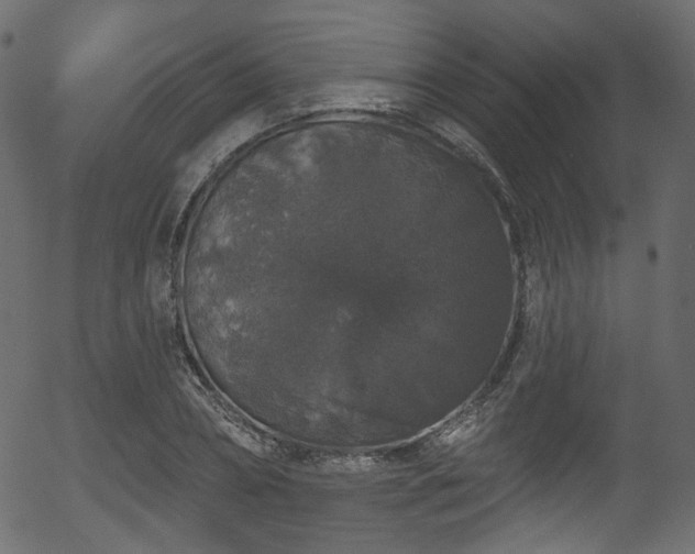 X0000056350882200508291319