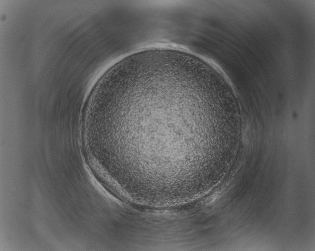 X0000056350903200508291319