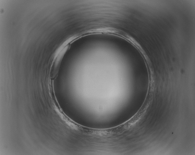 X0000056350909200508291319