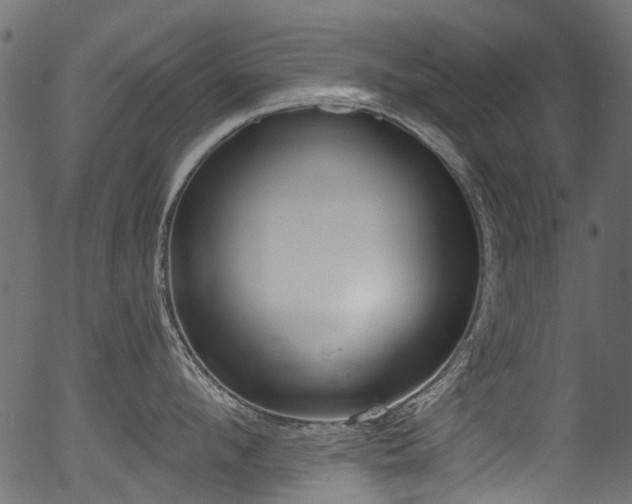 X0000056350912200508291319