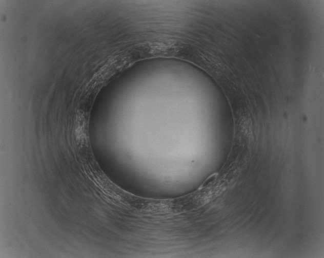 X0000056350914200508291318