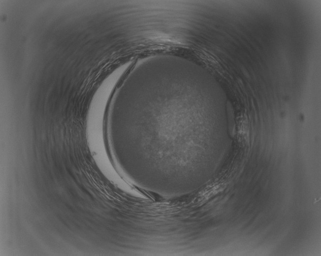 X0000056350916200508291318