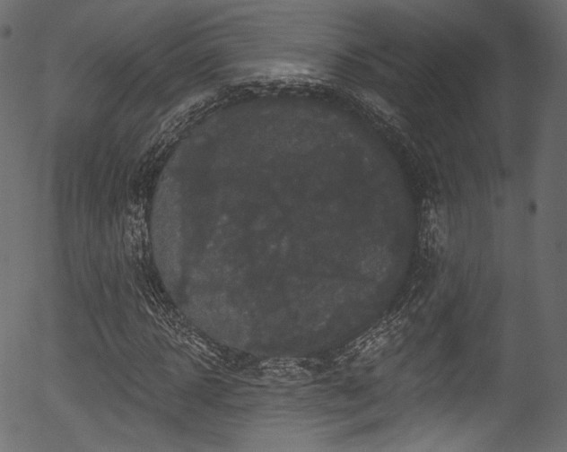 X0000056350918200508291318