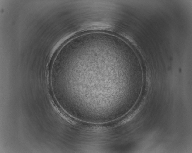 X0000056350933200508291318