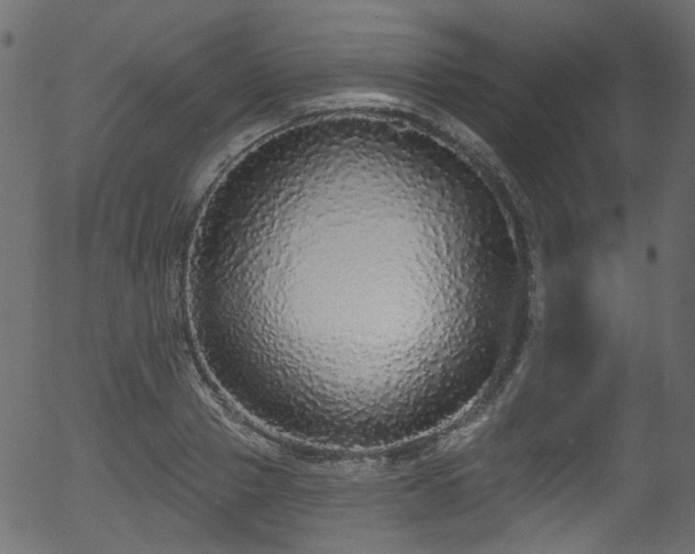 X0000056350937200508291318