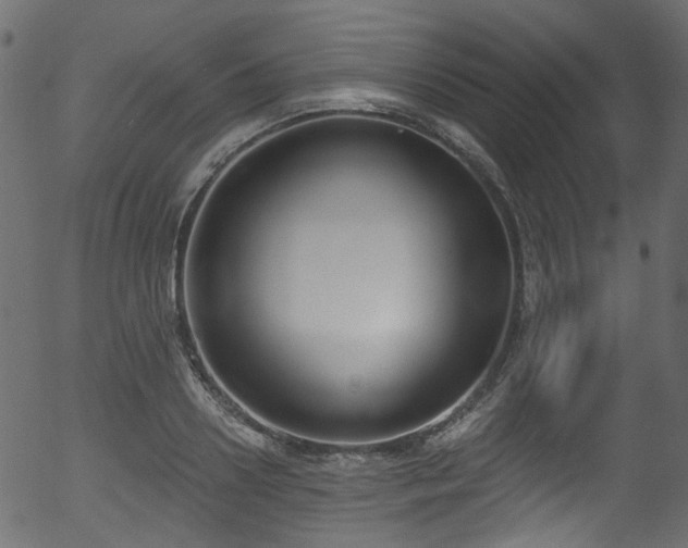 X0000056350938200508291318