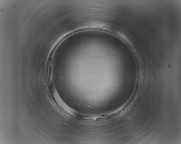 X0000056350948200508291318