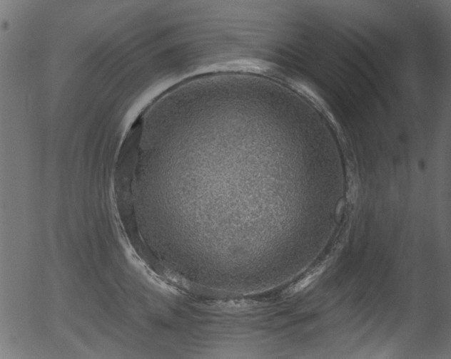 X0000056350952200508291318