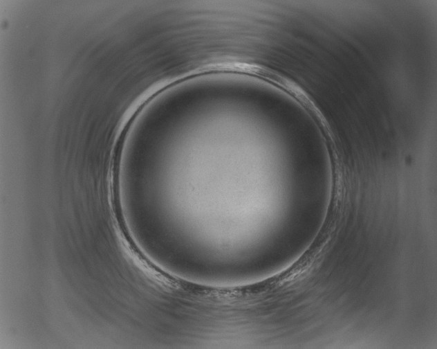 X0000056350955200508291318