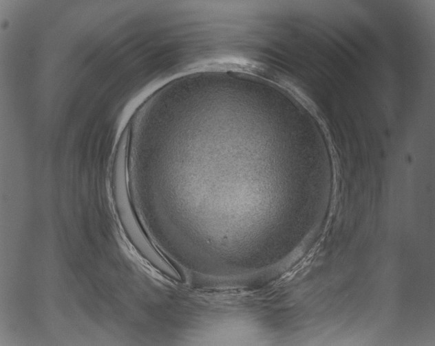 X0000056350960200508291319